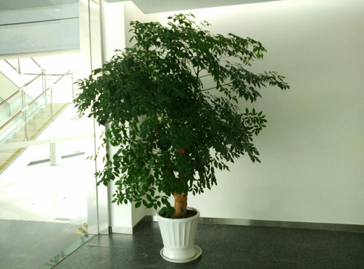 094621399.jpg 1-21050Q41911B1.jpg